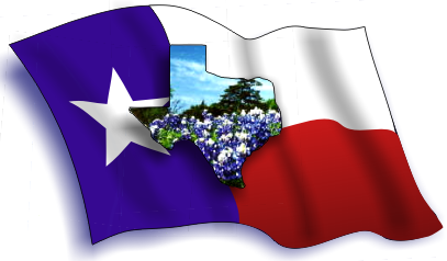 Texas Blue Bonnet Large